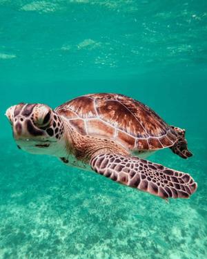 八木香苗の写メ日記｜ローテンブルク 吉原高級店ソープ