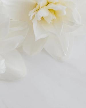 八木香苗の写メ日記｜ローテンブルク 吉原高級店ソープ