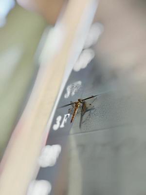 雪平奈々の写メ日記｜ローテンブルク 吉原高級店ソープ