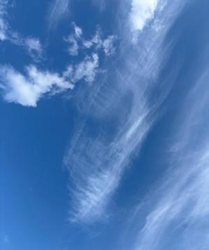 雪平奈々の写メ日記｜ローテンブルク 吉原高級店ソープ