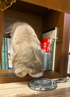 雪平奈々の写メ日記｜ローテンブルク 吉原高級店ソープ