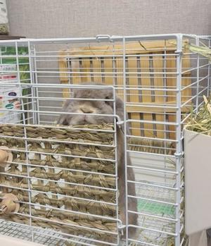 雪平奈々の写メ日記｜ローテンブルク 吉原高級店ソープ