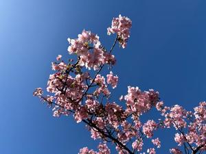 雪平奈々の写メ日記｜ローテンブルク 吉原高級店ソープ