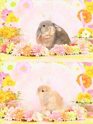 雪平奈々の写メ日記｜ローテンブルク 吉原高級店ソープ