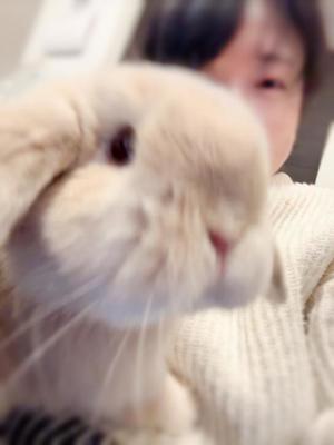 雪平奈々の写メ日記｜ローテンブルク 吉原高級店ソープ