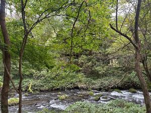 長澤舞美の写メ日記｜ローテンブルク 吉原高級店ソープ