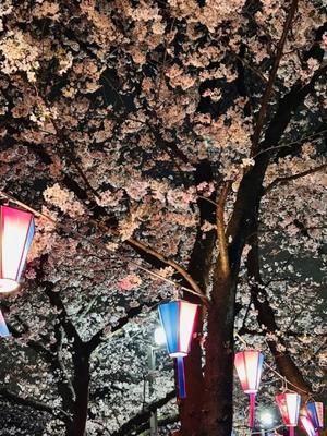 長澤舞美の写メ日記｜ローテンブルク 吉原高級店ソープ