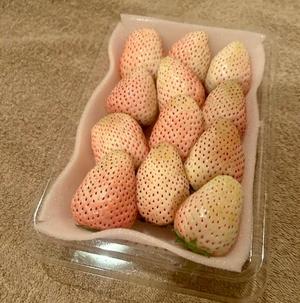長澤舞美の写メ日記｜ローテンブルク 吉原高級店ソープ