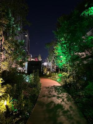 長澤舞美の写メ日記｜ローテンブルク 吉原高級店ソープ