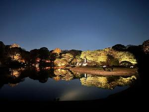 氷川 愛の写メ日記｜ローテンブルク 吉原高級店ソープ