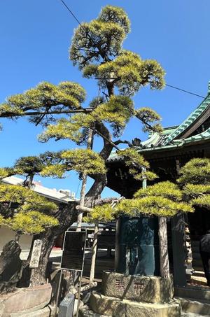 氷川 愛の写メ日記｜ローテンブルク 吉原高級店ソープ