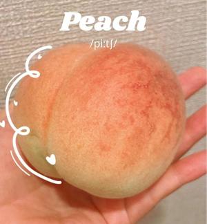 伊原知花の写メ日記｜ローテンブルク 吉原高級店ソープ