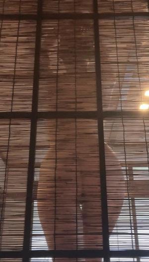 伊原知花の写メ日記｜ローテンブルク 吉原高級店ソープ