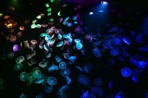 伊原知花の写メ日記｜ローテンブルク 吉原高級店ソープ