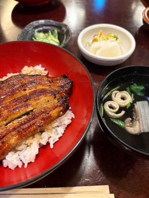 伊原知花の写メ日記｜ローテンブルク 吉原高級店ソープ