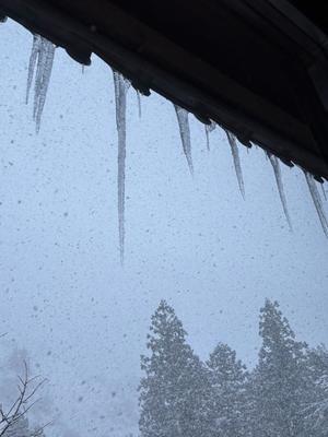 伊原知花の写メ日記｜ローテンブルク 吉原高級店ソープ
