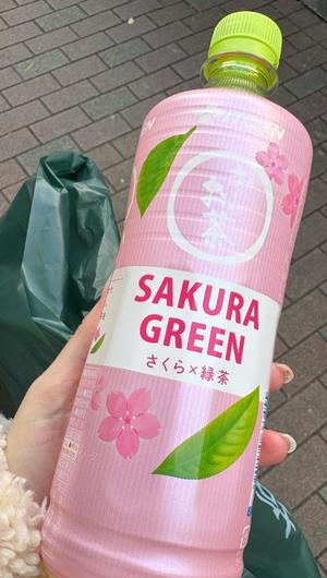 伊原知花の写メ日記｜ローテンブルク 吉原高級店ソープ