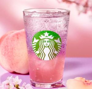 伊原知花の写メ日記｜ローテンブルク 吉原高級店ソープ