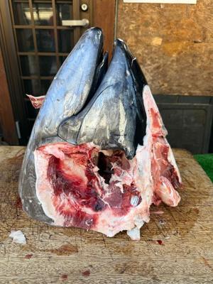 菊島ゆなの写メ日記｜ローテンブルク 吉原高級店ソープ