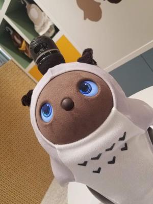 美保夏実の写メ日記｜ローテンブルク 吉原高級店ソープ