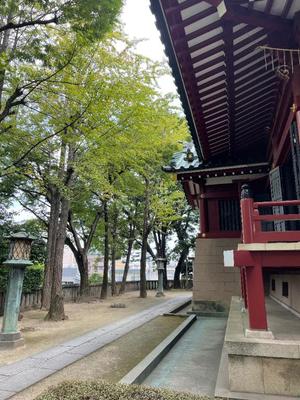小栗彩矢の写メ日記｜ローテンブルク 吉原高級店ソープ