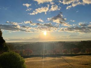 小栗彩矢の写メ日記｜ローテンブルク 吉原高級店ソープ