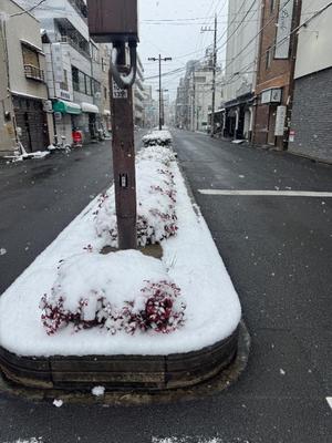 小栗彩矢の写メ日記｜ローテンブルク 吉原高級店ソープ