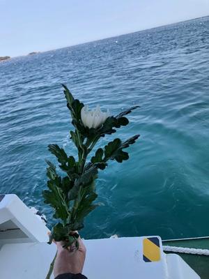 小栗彩矢の写メ日記|ローテンブルク 吉原高級店ソープ