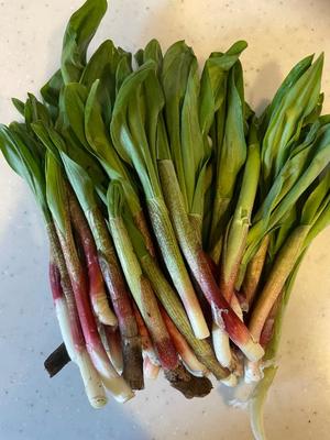 小栗彩矢の写メ日記｜ローテンブルク 吉原高級店ソープ