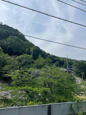 小栗彩矢の写メ日記｜ローテンブルク 吉原高級店ソープ