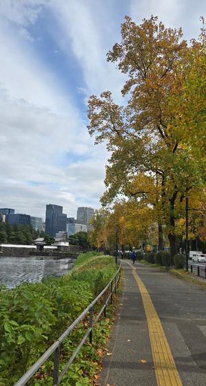 仲間有咲の写メ日記｜ローテンブルク 吉原高級店ソープ