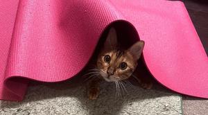 石川あさ美の写メ日記｜ローテンブルク 吉原高級店ソープ