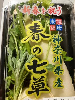 石川あさ美の写メ日記｜ローテンブルク 吉原高級店ソープ