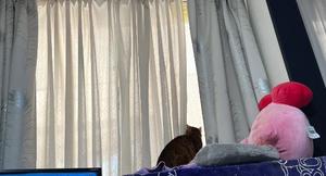 石川あさ美の写メ日記｜ローテンブルク 吉原高級店ソープ