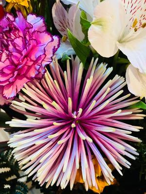 松波奈央の写メ日記｜ローテンブルク 吉原高級店ソープ