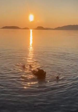 夏野朝妃の写メ日記｜ローテンブルク 吉原高級店ソープ