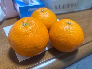 古手川あみるの写メ日記｜ローテンブルク 吉原高級店ソープ