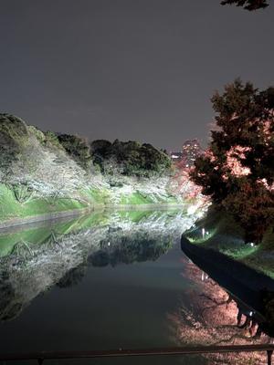 岸谷優里の写メ日記|ローテンブルク 吉原高級店ソープ