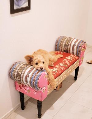 川原すずかの写メ日記｜ローテンブルク 吉原高級店ソープ