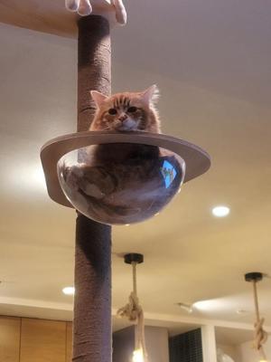 川原すずかの写メ日記｜ローテンブルク 吉原高級店ソープ