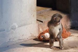 若尾留里の写メ日記｜ローテンブルク 吉原高級店ソープ