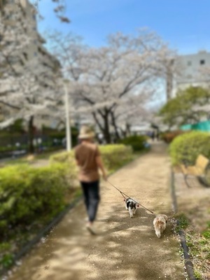 早乙女りえの写メ日記｜ローテンブルク 吉原高級店ソープ