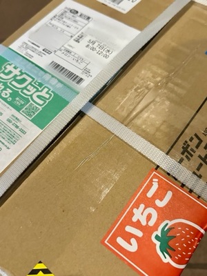 早乙女りえの写メ日記｜ローテンブルク 吉原高級店ソープ