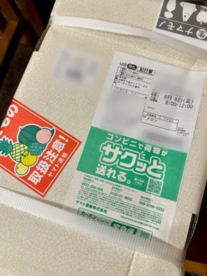 早乙女りえの写メ日記｜ローテンブルク 吉原高級店ソープ