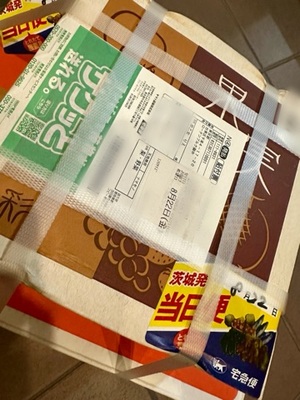 早乙女りえの写メ日記｜ローテンブルク 吉原高級店ソープ