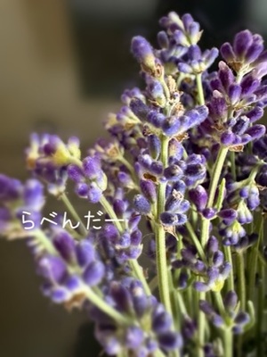 早乙女りえの写メ日記｜ローテンブルク 吉原高級店ソープ