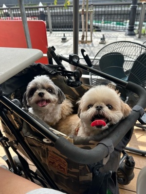 早乙女りえの写メ日記｜ローテンブルク 吉原高級店ソープ