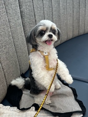 早乙女りえの写メ日記｜ローテンブルク 吉原高級店ソープ