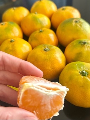 早乙女りえの写メ日記｜ローテンブルク 吉原高級店ソープ