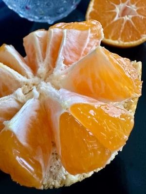 早乙女りえの写メ日記｜ローテンブルク 吉原高級店ソープ